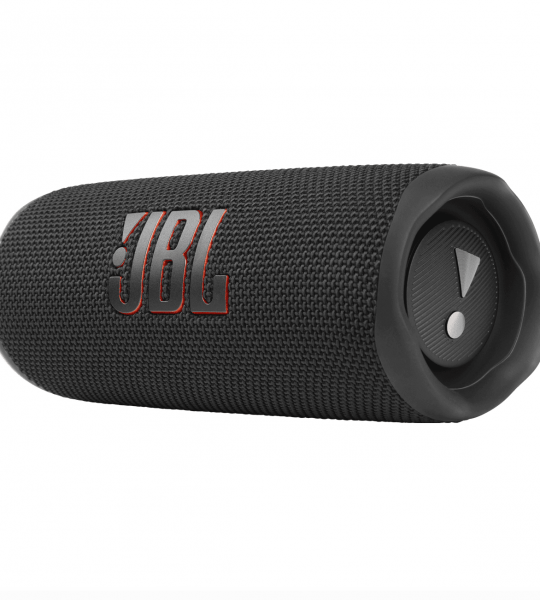 JBL Flip 6